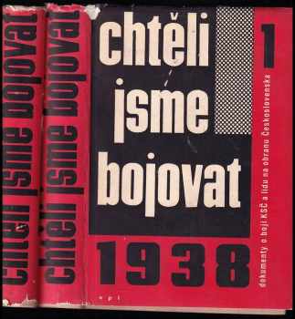 Chtěli jsme bojovat