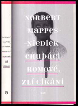 Norbert Mappes-Niediek: Chudáci Romové, zlí Cikáni