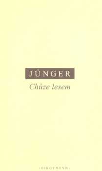 Chůze lesem