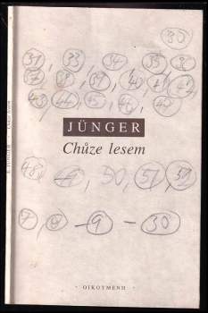 Chůze lesem