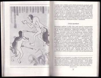 Karel Daněk: Chůze znovu objevená