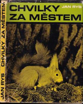 Jan Rys: Chvilky za městem