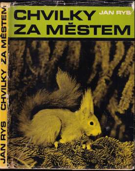 Chvilky za městem