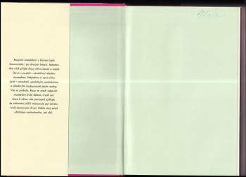 Sheila O'Flanagan: Chyba jejího manžela