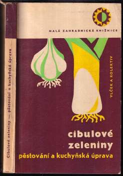 Cibulové zeleniny