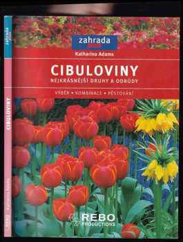 Cibuloviny