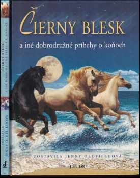 Čierny blesk a iné dobrodružné príbehy o koňoch