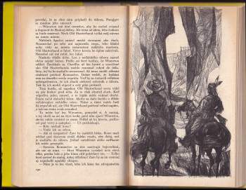 Karl May: Čierny Mustang