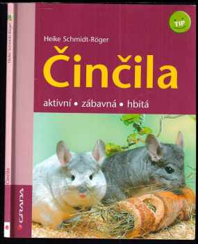 Činčila