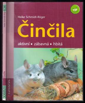 Činčila