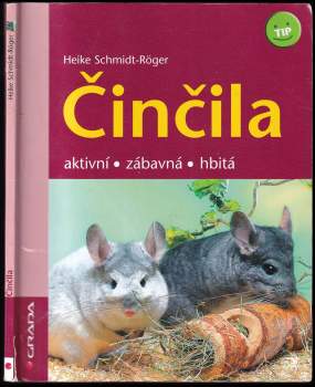 Činčila
