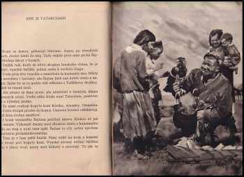 Josef Kovář: Čing - ptačí král