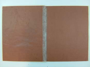 Tony Wolf: Cínový vojáček a jiné pohádky