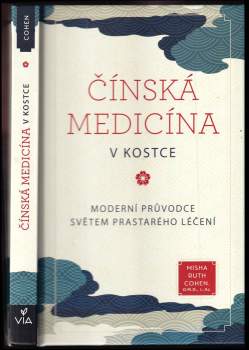 Čínská medicína v kostce