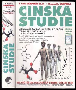 Čínská studie