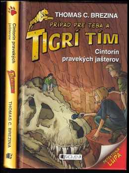 Prípad pre teba a Tigrí tím