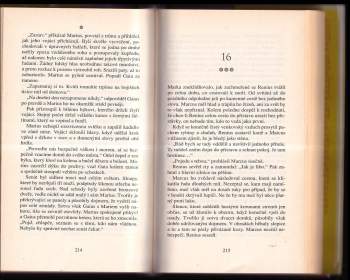 Conn Iggulden: Císař - brány Říma