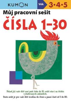 Můj pracovní sešit