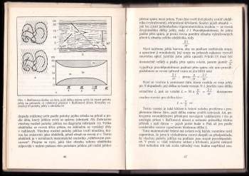 Stephen Jay Gould: Pandin palec