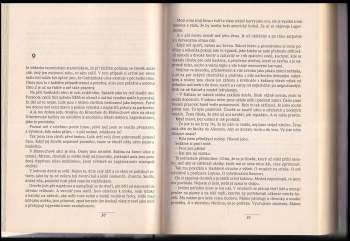 Peter Høeg: Cit slečny Smilly pro sníh