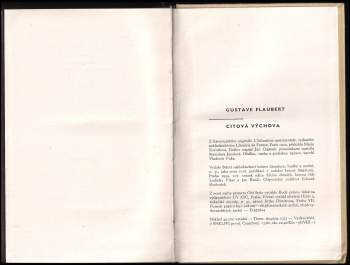 Gustave Flaubert: Citová výchova