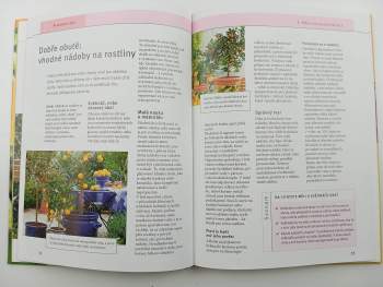 Hans-Peter Maier: Citrusy