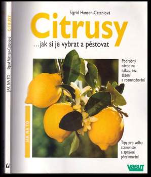 Sigrid Hansen-Catani: Citrusy