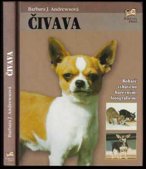 Čivava