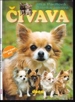 Čivava