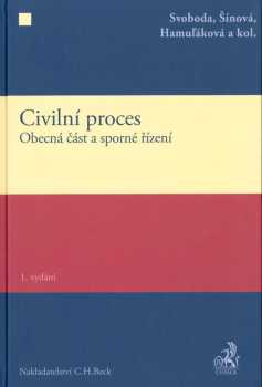 Civilní proces