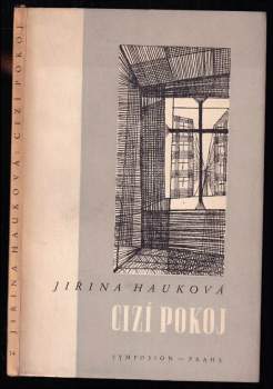 Cizí pokoj