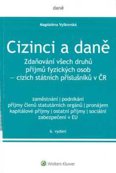 Cizinci a daně
