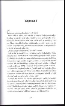 Harlan Coben: Cizinec