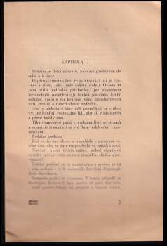 Karel Vokáč: Cizinec