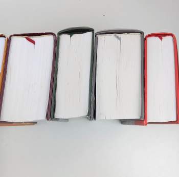 Diana Gabaldon: Paměť kostí