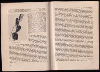 Jaroslav Weiser: Cizopasný hmyz