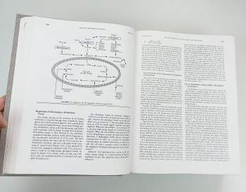 John H Davis: Clinical Surgery