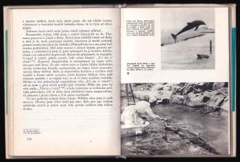 John Cunningham Lilly: Člověk a delfín