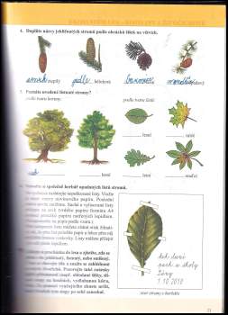 Věra Štiková: Člověk a jeho svět