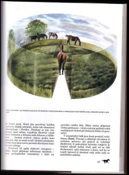 Zdeněk Mahler: Člověk a kůň