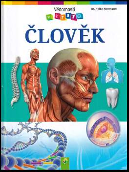 Člověk