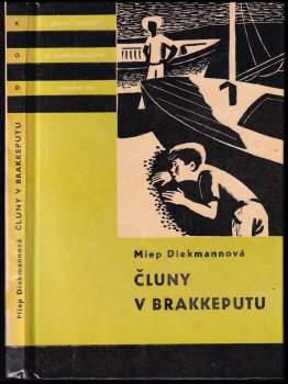 Čluny v Brakkeputu