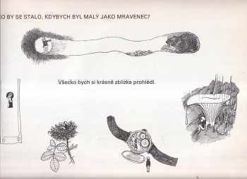 Daisy Mrázková: Co by se stalo, kdyby--