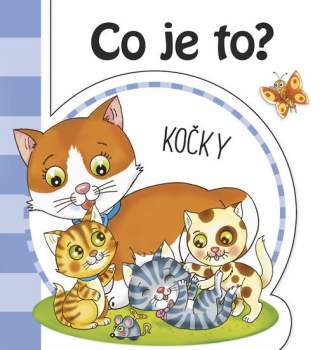Co je to?