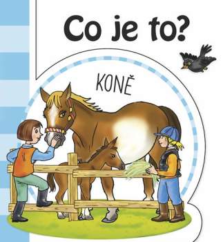 Co je to?