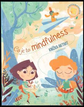 Co je to mindfulness