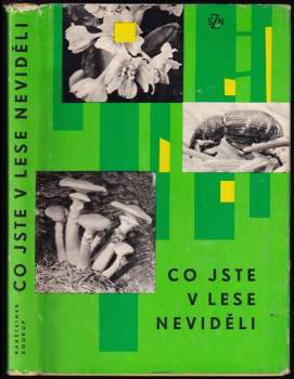 Co jste v lese neviděli