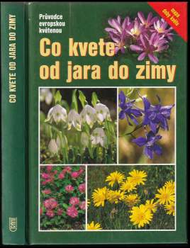 Co kvete od jara do zimy