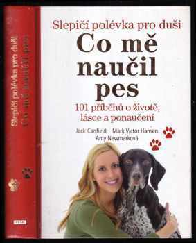 Slepičí polévka pro duši