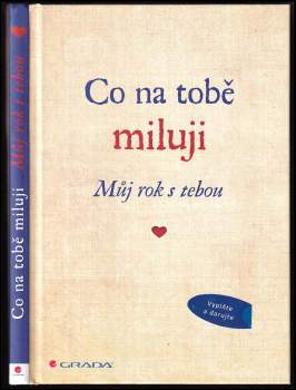 Co na tobě miluji : můj rok s tebou